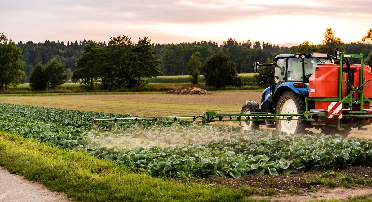 High-grade Urea, DAP, and NPK fertilizers supporting sustainable agriculture and global food production.