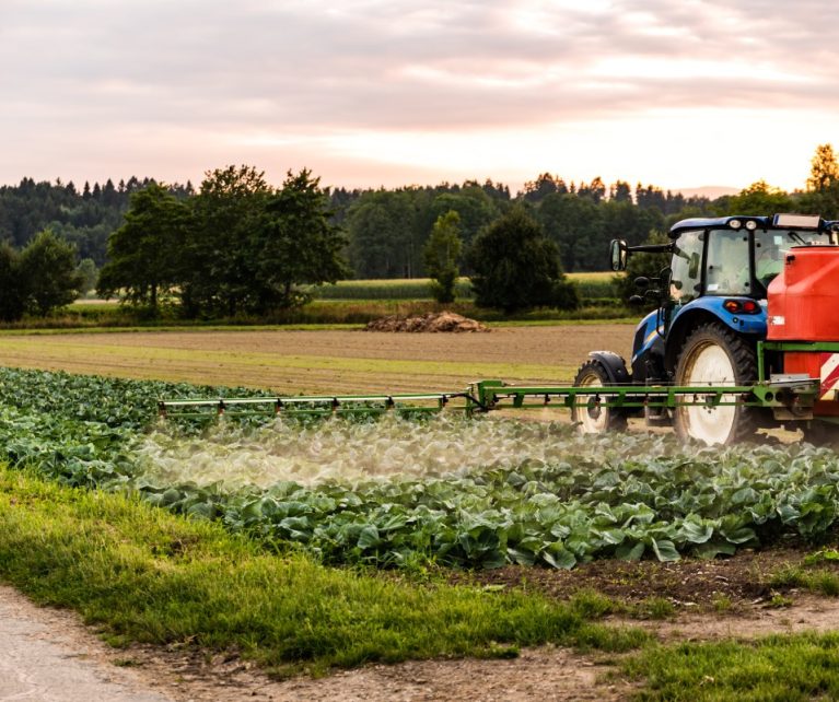 High-grade Urea, DAP, and NPK fertilizers supporting sustainable agriculture and global food production.